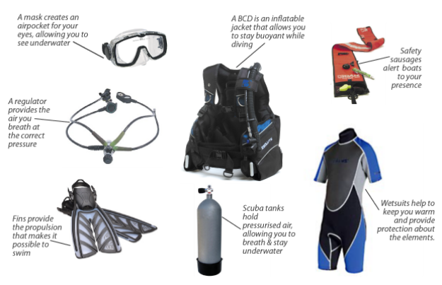 Picture of Under Water Breathing Apparatus Set [With Diving Suit]