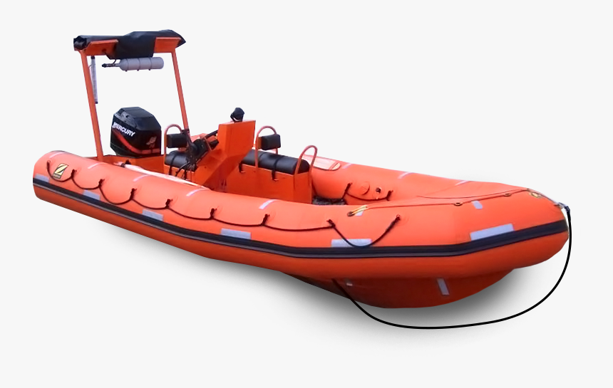Picture for category Rescue Boats