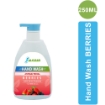 HW B Berries Hand Wash 250 ml 500 ml 3 LITERS 5 LITERS and 10 LITERS 
