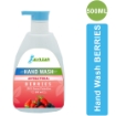 HW B Berries Hand Wash 250 ml 500 ml 3 LITERS 5 LITERS and 10 LITERS 