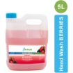 HW B Berries Hand Wash 250 ml 500 ml 3 LITERS 5 LITERS and 10 LITERS 