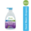 HW G Grapes Hand Wash 250 ml 500 ml 3 LITERS 5 LITERS and 10 LITERS