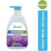 HW G Grapes Hand Wash 250 ml 500 ml 3 LITERS 5 LITERS and 10 LITERS
