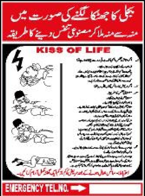 Picture of MW-520 KISS OF LIFE