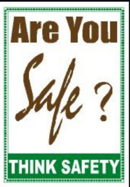 Picture of MIP-715 ARE YOU SAFE?