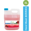HW B Berries Hand Wash 250 ml 500 ml 3 LITERS 5 LITERS and 10 LITERS 