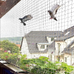High Quality Polyester Weather Resistance Braided Knotted Small Mesh Anti Bird Net