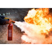 9 KG Dry Chemical Powder Fire Extinguisher DCP 
