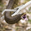 Stainless Steel Snake Catcher