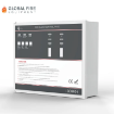 Global Fire CP100 2 Zone Conventional Fire Alarm Control Panel