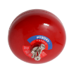 6 KG Automatic Dry Chemical Powder Fire Extinguisher