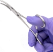 Kelly Locking Tweezers Silver Curved Hemostatic Forceps